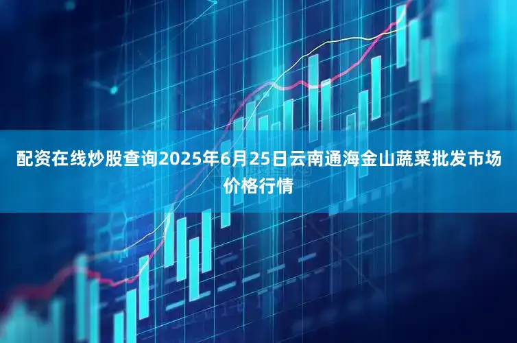 配资在线炒股查询2025年6月25日云南通海金山蔬菜批发市场价格行情