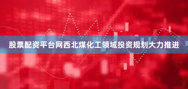 股票配资平台网西北煤化工领域投资规划大力推进